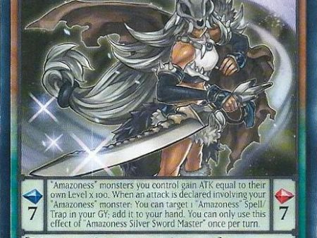 Amazoness Silver Sword Master [DABL-EN094] Common on Sale